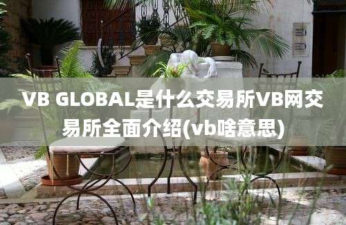 VB GLOBAL是什么交易所VB网交易所全面介绍(vb啥意思)