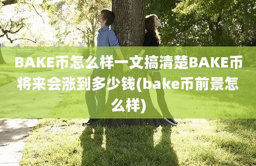 BAKE币怎么样一文搞清楚BAKE币将来会涨到多少钱(bake币前景怎么样)