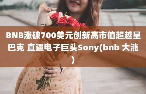 BNB涨破700美元创新高市值超越星巴克 直逼电子巨头Sony(bnb 大涨)