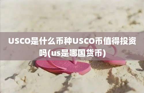 USCO是什么币种USCO币值得投资吗(us是哪国货币)