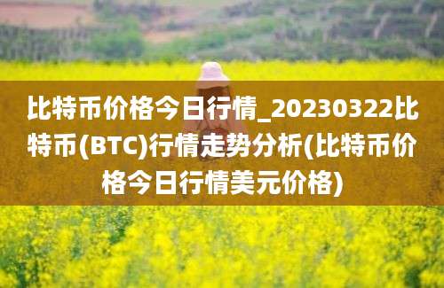 比特币价格今日行情_20230322比特币(BTC)行情走势分析(比特币价格今日行情美元价格)