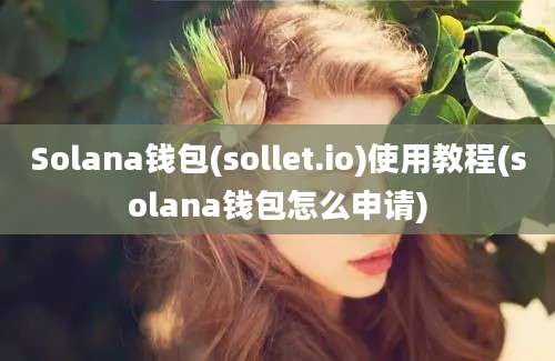 Solana钱包(sollet.io)使用教程(solana钱包怎么申请)