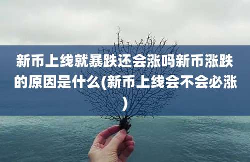 新币上线就暴跌还会涨吗新币涨跌的原因是什么(新币上线会不会必涨)