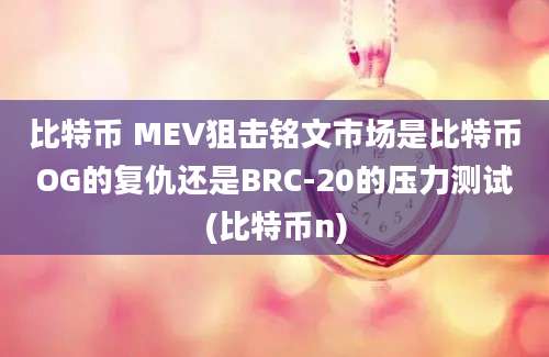 比特币 MEV狙击铭文市场是比特币OG的复仇还是BRC-20的压力测试(比特币n)