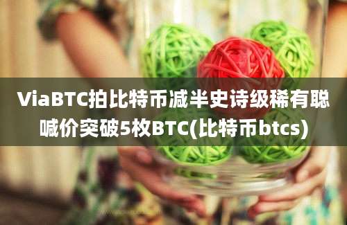 ViaBTC拍比特币减半史诗级稀有聪喊价突破5枚BTC(比特币btcs)