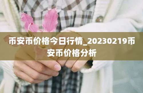 币安币价格今日行情_20230219币安币价格分析