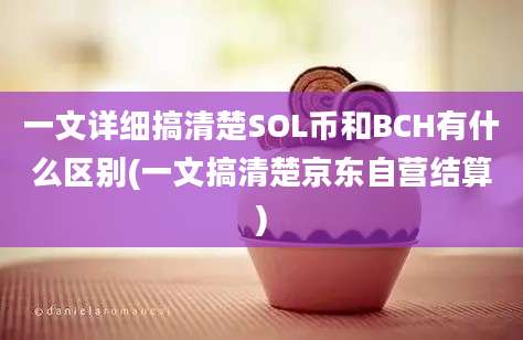 一文详细搞清楚SOL币和BCH有什么区别(一文搞清楚京东自营结算)