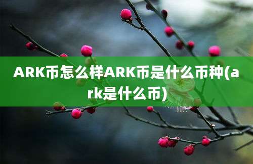 ARK币怎么样ARK币是什么币种(ark是什么币)