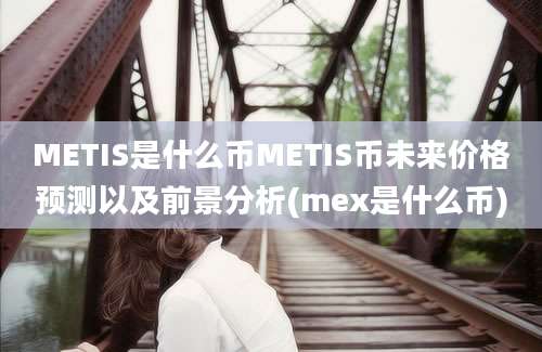 METIS是什么币METIS币未来价格预测以及前景分析(mex是什么币)