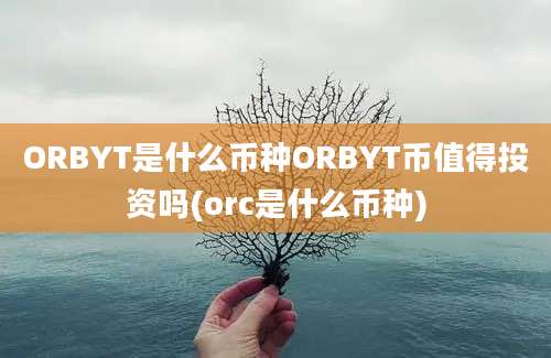 ORBYT是什么币种ORBYT币值得投资吗(orc是什么币种)