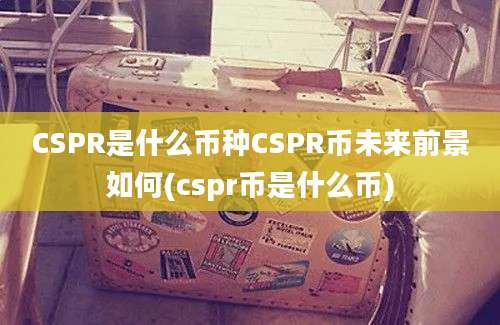 CSPR是什么币种CSPR币未来前景如何(cspr币是什么币)