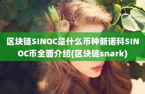 区块链SINOC是什么币种新诺科SINOC币全面介绍(区块链snark)