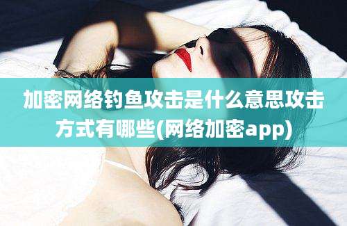 加密网络钓鱼攻击是什么意思攻击方式有哪些(网络加密app)