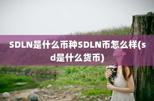 SDLN是什么币种SDLN币怎么样(sd是什么货币)