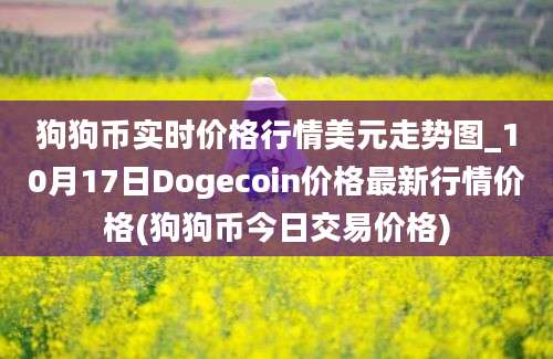 狗狗币实时价格行情美元走势图_10月17日Dogecoin价格最新行情价格(狗狗币今日交易价格)