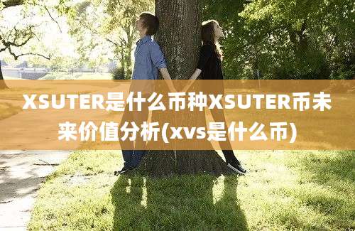 XSUTER是什么币种XSUTER币未来价值分析(xvs是什么币)