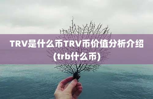 TRV是什么币TRV币价值分析介绍(trb什么币)