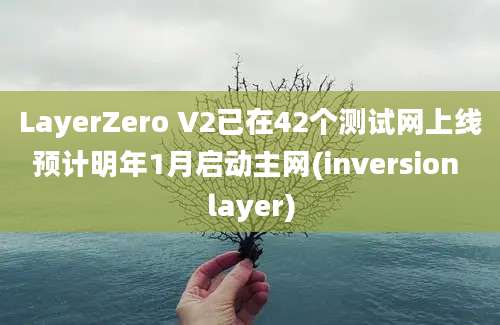 LayerZero V2已在42个测试网上线预计明年1月启动主网(inversion layer)