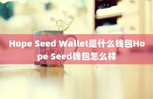 Hope Seed Wallet是什么钱包Hope Seed钱包怎么样