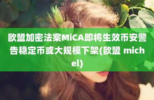 欧盟加密法案MiCA即将生效币安警告稳定币或大规模下架(欧盟 michel)