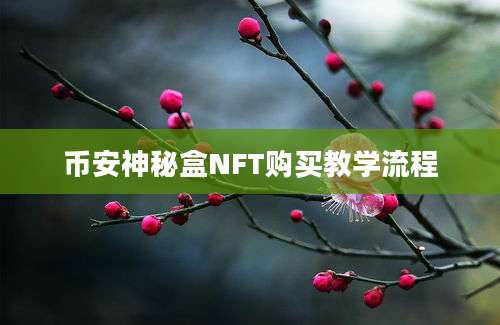 币安神秘盒NFT购买教学流程