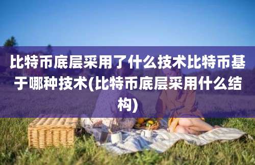 比特币底层采用了什么技术比特币基于哪种技术(比特币底层采用什么结构)