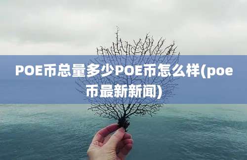 POE币总量多少POE币怎么样(poe币最新新闻)