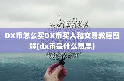 DX币怎么买DX币买入和交易教程图解(dx币是什么意思)