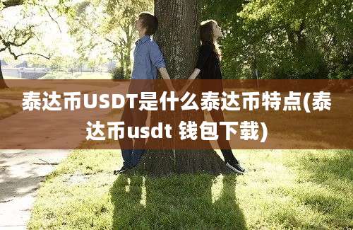 泰达币USDT是什么泰达币特点(泰达币usdt 钱包下载)