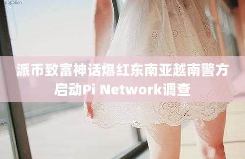 派币致富神话爆红东南亚越南警方启动Pi Network调查