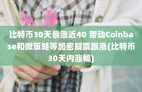 比特币30天暴涨近40 带动Coinbase和微策略等加密股票跟涨(比特币30天内涨幅)