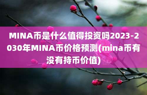 MINA币是什么值得投资吗2023-2030年MINA币价格预测(mina币有没有持币价值)