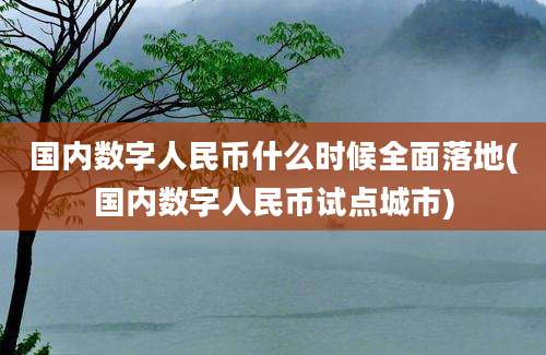 国内数字人民币什么时候全面落地(国内数字人民币试点城市)