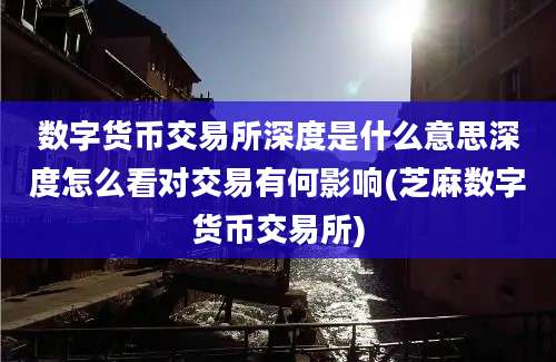 数字货币交易所深度是什么意思深度怎么看对交易有何影响(芝麻数字货币交易所)