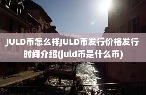 JULD币怎么样JULD币发行价格发行时间介绍(juld币是什么币)