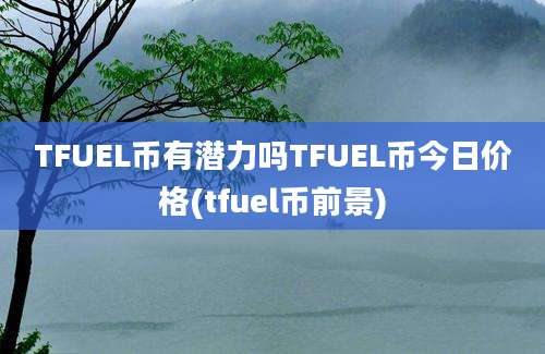 TFUEL币有潜力吗TFUEL币今日价格(tfuel币前景)