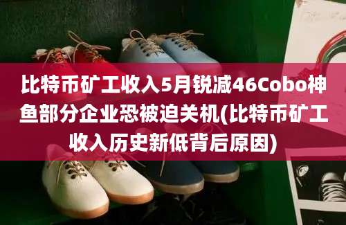 比特币矿工收入5月锐减46Cobo神鱼部分企业恐被迫关机(比特币矿工收入历史新低背后原因)