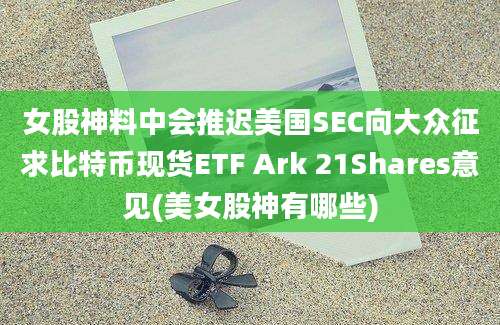 女股神料中会推迟美国SEC向大众征求比特币现货ETF Ark 21Shares意见(美女股神有哪些)