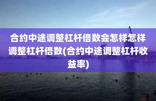 合约中途调整杠杆倍数会怎样怎样调整杠杆倍数(合约中途调整杠杆收益率)