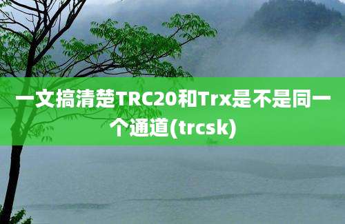 一文搞清楚TRC20和Trx是不是同一个通道(trcsk)