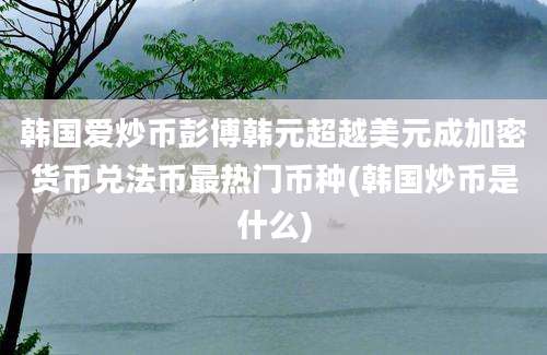 韩国爱炒币彭博韩元超越美元成加密货币兑法币最热门币种(韩国炒币是什么)