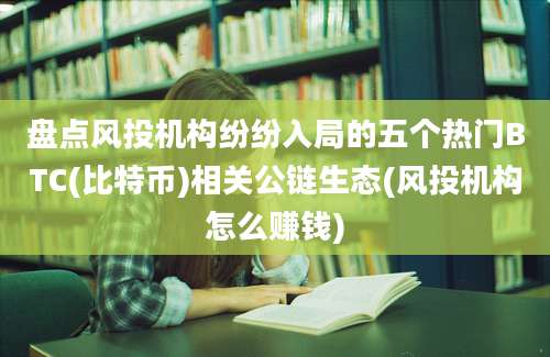 盘点风投机构纷纷入局的五个热门BTC(比特币)相关公链生态(风投机构怎么赚钱)