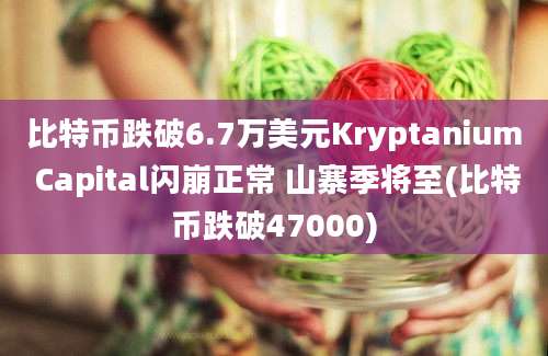 比特币跌破6.7万美元Kryptanium Capital闪崩正常 山寨季将至(比特币跌破47000)