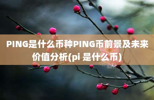 PING是什么币种PING币前景及未来价值分析(pi 是什么币)