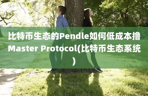 比特币生态的Pendle如何低成本撸Master Protocol(比特币生态系统)