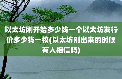 以太坊刚开始多少钱一个以太坊发行价多少钱一枚(以太坊刚出来的时候有人相信吗)