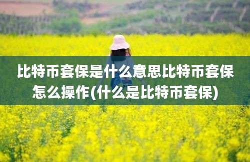 比特币套保是什么意思比特币套保怎么操作(什么是比特币套保)