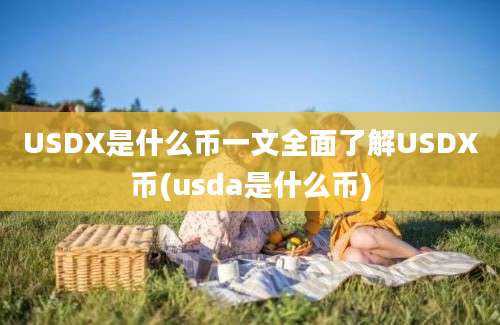 USDX是什么币一文全面了解USDX币(usda是什么币)