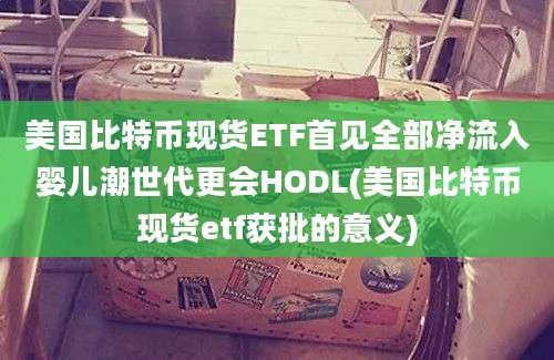 美国比特币现货ETF首见全部净流入婴儿潮世代更会HODL(美国比特币现货etf获批的意义)