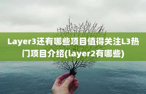 Layer3还有哪些项目值得关注L3热门项目介绍(layer2有哪些)